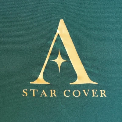 Indoor car cover fits Tesla Roadster bespoke Berlin Black cover Without mirro... - Imagem 1 de 4