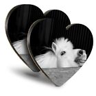 2x Heart MDF Coasters - BW - Cute Cheeky White Pony Horse Stable  #37156