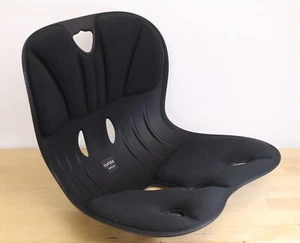 Curble Ablue Wider Chair Back Support Posture Corrector Back Pain Relief - Picture 1 of 6