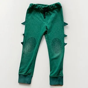 H&M Basic Boys Sweatpants 5-6Y Green Dinosaur Athletic Elastic Waist - Picture 1 of 8