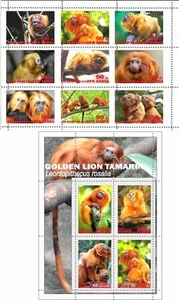 Stamp sheet+block Golden Lion Tamarin Korea 2020 issue Monkeys - Picture 1 of 1
