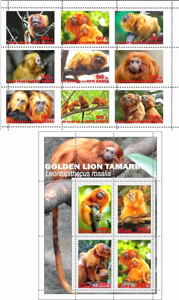 Stamp sheet+block Golden Lion Tamarin Korea 2020 issue Monkeys - Image 1 of 1