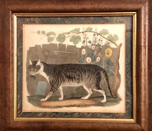 Katze Original handkoloriert 1820 Kupferstich einer Katze mit Maus neuer Rahmen - Bild 1 von 7