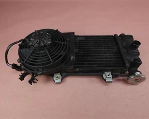 2008-2017 BMW G650 GS G650GS Engine Motor Water Cooling Radiator w/ Fan - Picture 1 of 12