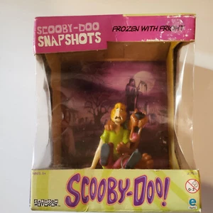 Scooby-Doo Snapshots Shaggy Cartoon Network Frozen with Fright Figures - Picture 1 of 7