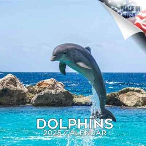 DOLPHIN Wall Calendar 2025 Sea Ocean Animal Lover Gift - Picture 1 of 2