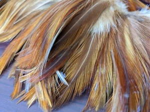 Feathers - 2 long sewn strands (15 inch) for crafts, earrings, flys, decorating - Picture 1 of 4