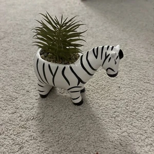 Zebra Planter Pot With Faux Succulent - Bild 1 von 3