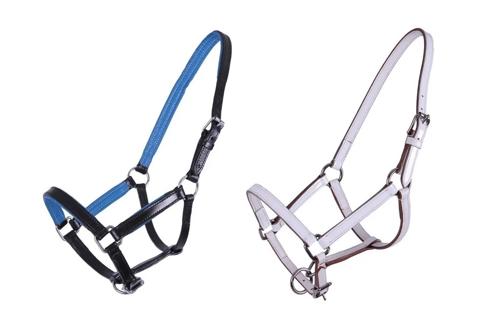 Schöne Fohlenhalfter Leder Fohlen Falabella/Shetty/Pony/Full Auswahl - Bild 1 von 1