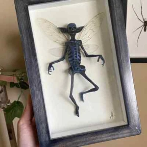 Gothic home decor Mummified fairy Fairy skeleton Witchy decor Fairy specimen - Imagen 1 de 11