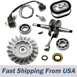 USA Holzfforma Flywheel Crankshaft Ignition Coil For ST MS660 066 Chainsaw - Picture 1 of 1