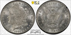 1880 CC PCGS MS64 GSA HOARD in GSA holder NEW cert gold shield - Picture 1 of 6