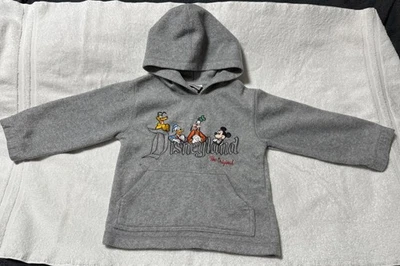Disneyland Park Hoodie Kids XS Gray Embroidered Characters Logo Vintage EUC - Image 1 of 4