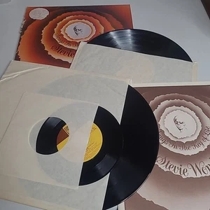 Stevie Wonder - Songs in the Key of Life 2-LP VTG Pressing w/ Booklet & 7" 45 - Imagen 1 de 24