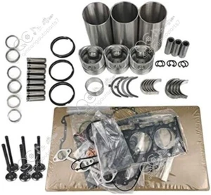 Overhaul Rebuild Kit for Isuzu 3KR2 Engine Hitachi EX30 EX35 EX40 Excavato - Picture 1 of 6