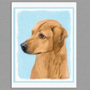 6 tarjetas de felicitación Rhodesian Ridgeback perro nota artística en blanco - Imagen 1 de 1