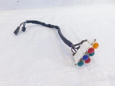 Arnés de luz piloto indicador horquilla delantera Victory Hammer Kingpin Vegas 2004-2005 Foto 1 de 4