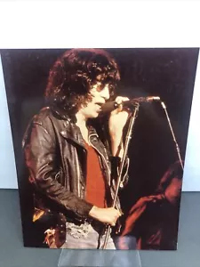 JOEY RAMONE RARE 8x10 PHOTO VINTAGE 1984 ROCKTOGRAPHY ON KODAK PAPER - Bild 1 von 5