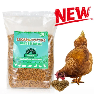 LUCKYQWORMS 11lbs Non-GMO Dried Black Soldier Fly Larvae Mealworms 50 x Calcium Chicken Feed