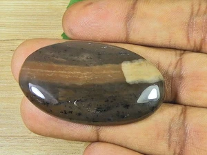 25X56X07MM Natural Honey Dendrite Oval Shape Cabochon Loose Gemstone 67Cts. - Picture 1 of 9