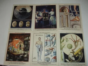 Álbum-libro. 1931. Alemania. Cuerpo humano. 52 imágenes - Imagen 1 de 5