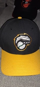 New Hampshire Fishercats 39thirty Fitted Hat 7 3/8 - Picture 1 of 3
