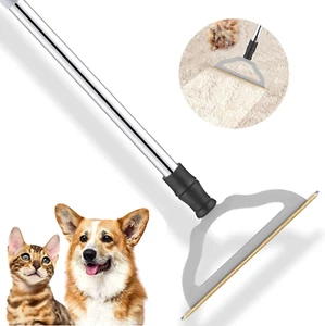 Pet Hair Remover for Carpet,Long Handle Carpet Rake for Cat Hair Removal,Brush - Picture 1 of 12