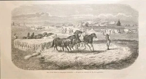 Stampa antica La Trita grano Cavalli Campagna romana Xilografia originale 1860 - Foto 1 di 1