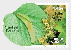 andorra SPAIN 2020 Tree Leaves LIME yellow petals filaments aroma shade arbre 1v - Picture 1 of 1