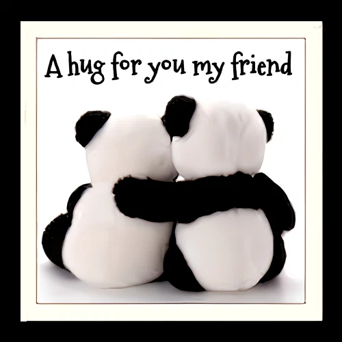 A Hug For You My Friend 可爱熊猫熊善良-磁力 — 第 1/1 张图片