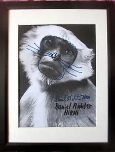 DANIEL RICHTER >Hirni< ÜBERMALUNG,HAND-SIGNIERT Unikat,dat 2010, 32x24 + Rahmen - Bild 1 von 4