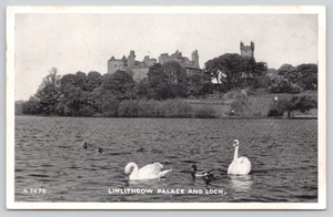 AK Schwäne / Enten schwimmen von Linlithgow Palace und Loch Schottland - Schloss - Bild 1 von 3