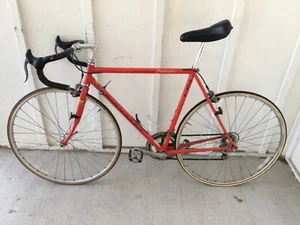 Schwinn Paramount 14 Speed OS(OverSized) Series 2 PDG - Picture 1 of 9