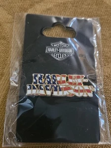 Harley Davidson Pin - Motorcycles American Flag - Picture 1 of 4