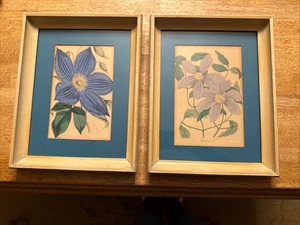 Vintage Walter Nugent Fitch signiert gerahmt Clematis Blumen botanische Blumendrucke - Bild 1 von 21
