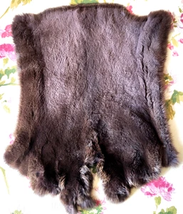 Kaninchen Fell, großes dunkelbraun geschorenes Kanin  - Bild 1 von 3