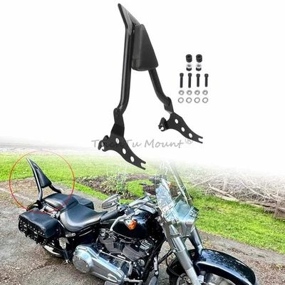Respaldo barra Sissy para Harley Softail Fat Boy FLFBS 114 18-23 Breakout 2013-2023 Foto 1 de 4