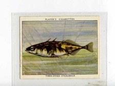 (Jj8193) PLAYERS,FRESHWATER FISHES,THREE-SPINED STICKLEBACK,1935,#20