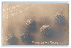 Greetings From Nutmeg State Connecticut Which are The Genuine? RPPC - Picture 1 of 2
