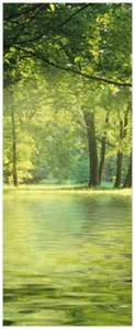 Wallario Memoboard Glas Magnettafel Idyllischer See Wald Sonnenschein Sumpf Moor - Bild 1 von 6