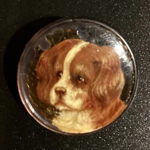 BEAUTIFUL ANTIQUE SHELL BUTTON WITH TRANSFER OF KING CHARLES SPANIEL DOG - Picture 1 of 3