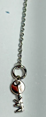 Michael Kors NUEVO NUEVO CON ETIQUETAS Collar Llavero Fino Plata Esterlina 17" Foto 1 de 4