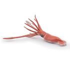 Papo - Collectible Figures - Giant Squid - Sea World - for Children - Girls and 