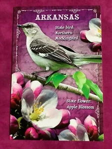 Arkansas state Bird & Flower Postcard - Picture 1 of 2