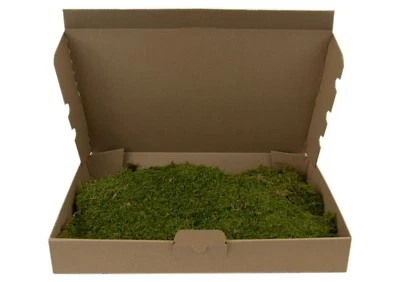 MOOS-DESIGN Terrarium Bodengrund Moos, Terrarienmoos, echtes Natur Plattmoos für Terrarien