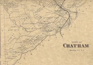 Chatham Madison Green Village Florham Park NJ 1868 Karten Hausbesitzer Namen gezeigt - Bild 1 von 5