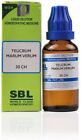 SBL Homeopathic Teucrium Marum Verum (30 ML) (Select Potency)