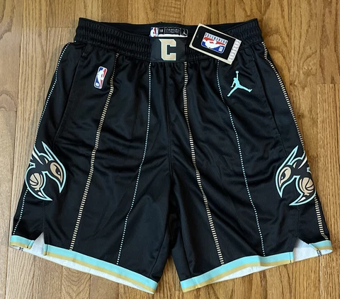 Men's Charlotte Hornets Nike Jordan City Edition Swingman Shorts 38 Large Cover