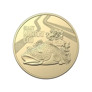 Australian 2023 One Dollar $1 BIG THINGS Coin - GIANT MURRAY COD Aust Post UNC - Bild 1 von 2