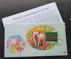 [SJ] South Africa Year Of Pig 2007 Lunar Chinese Zodiac (FDC) *odd *embossed - Picture 1 of 5